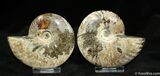 Inch Polished Pair From Madagascar #1282-2